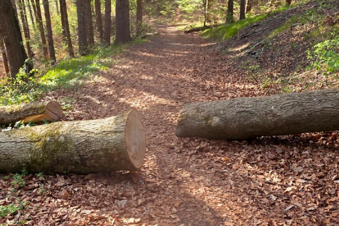 Radfahrer im Gelände im Wald