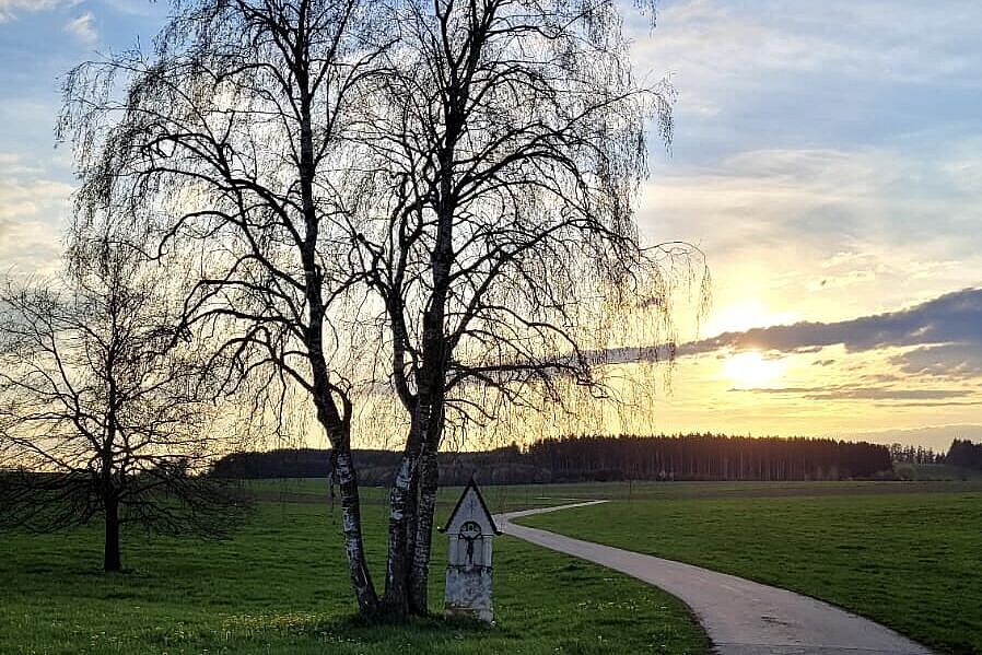 Marterl vor Baum
