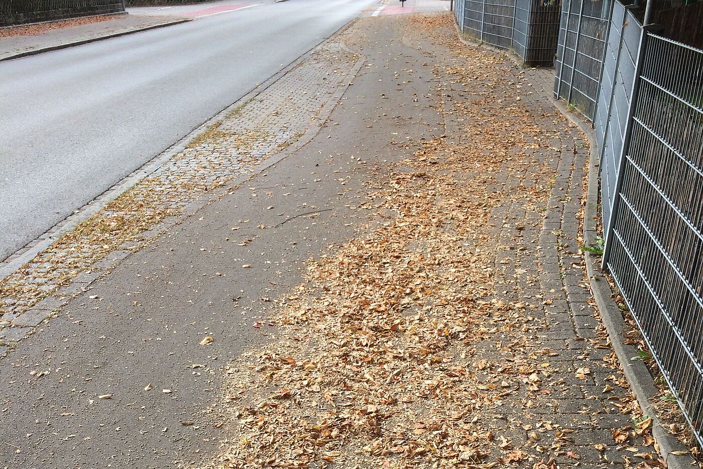 Laub auf Geh- und Radweg