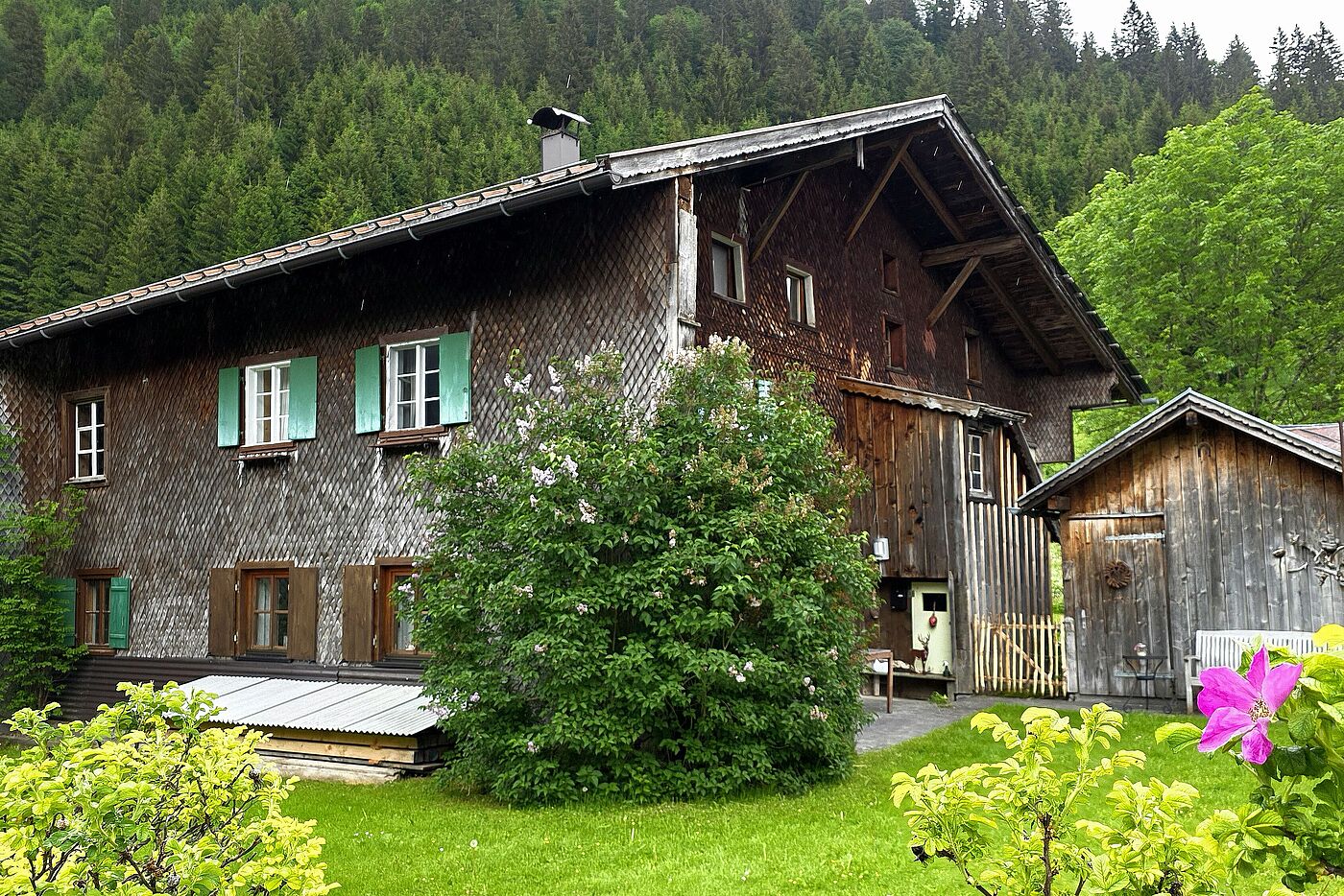 Haus