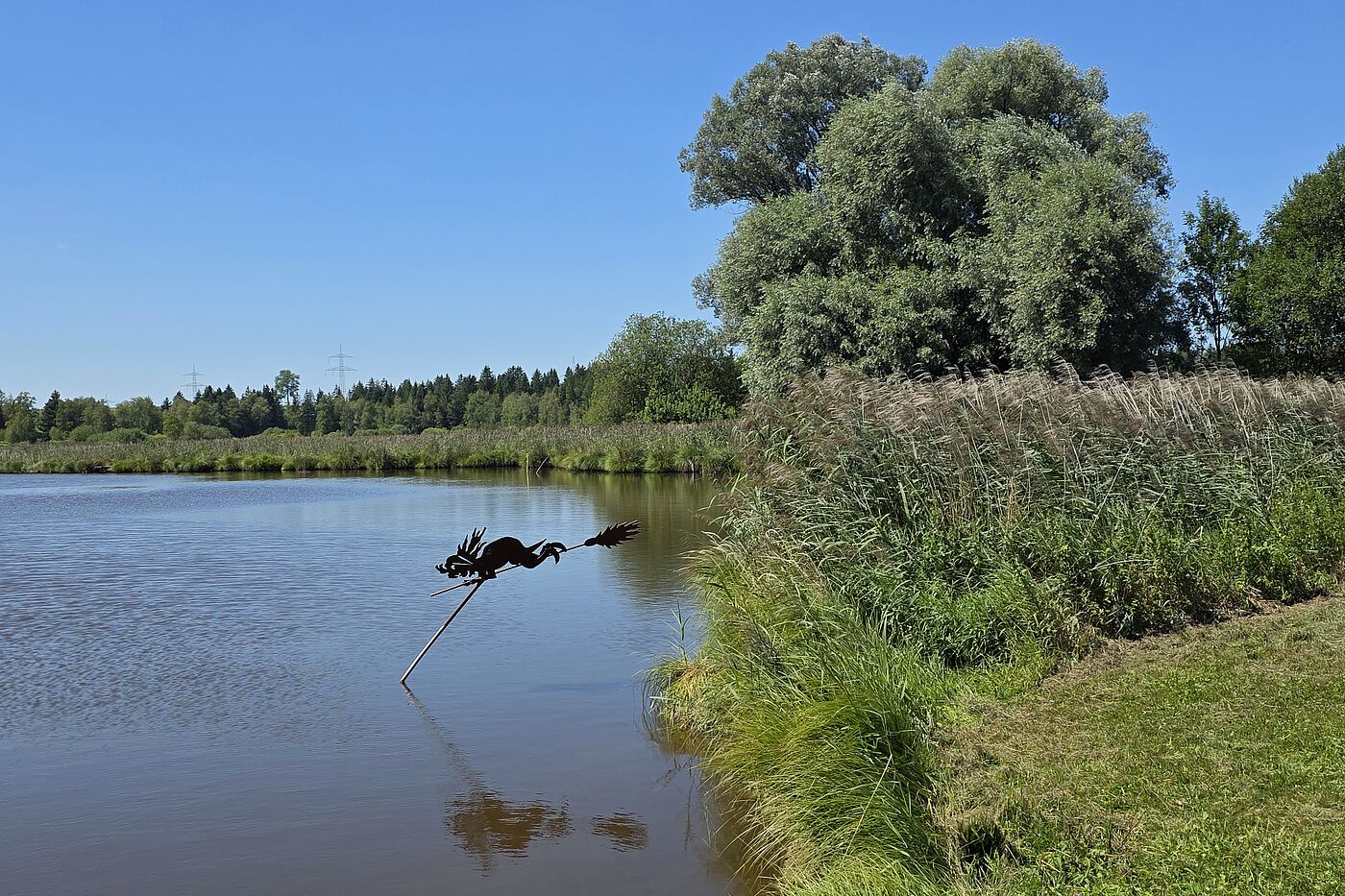 Hexe im See