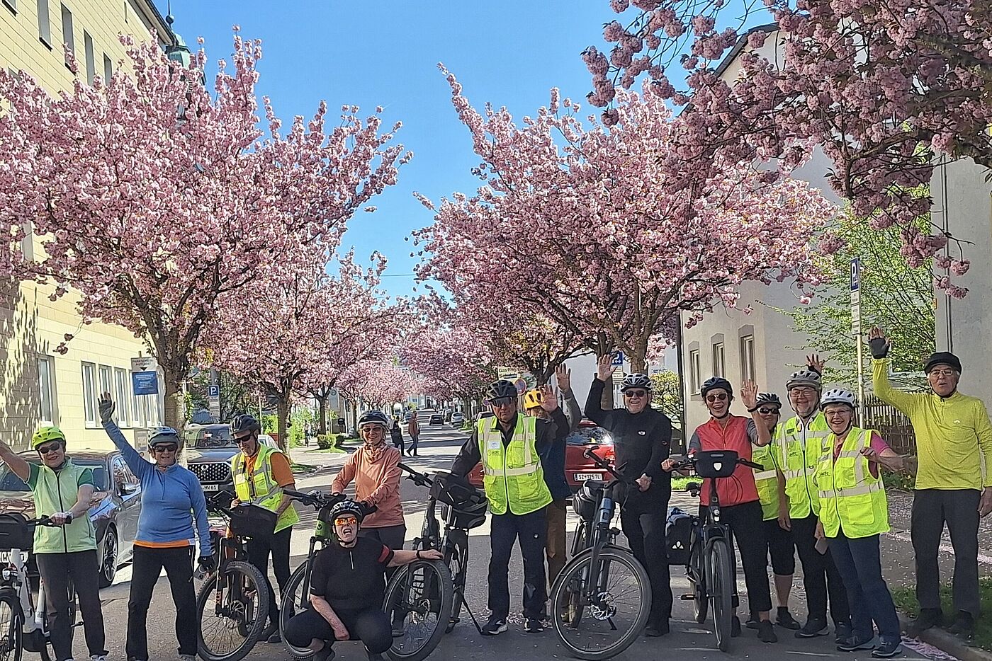 Radfahrer vor Kirschbäumen