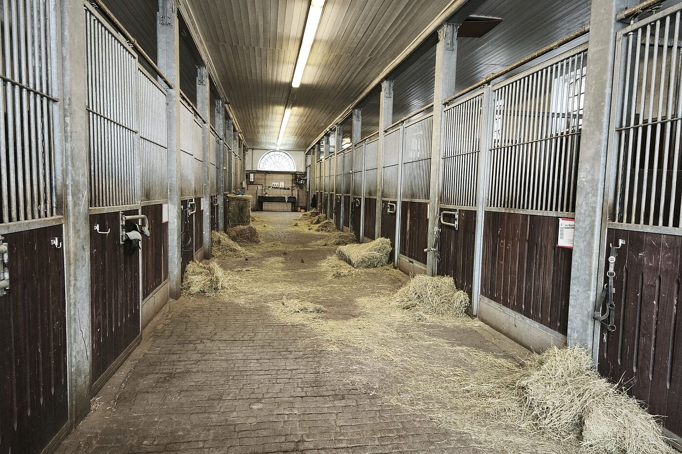 Stall