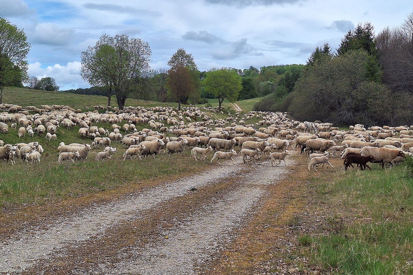 Schwäbische Alb