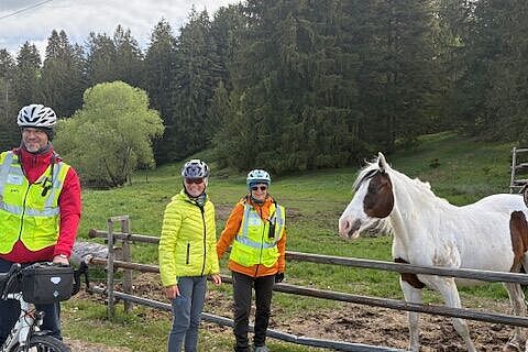 Radfahrer vor Tieren